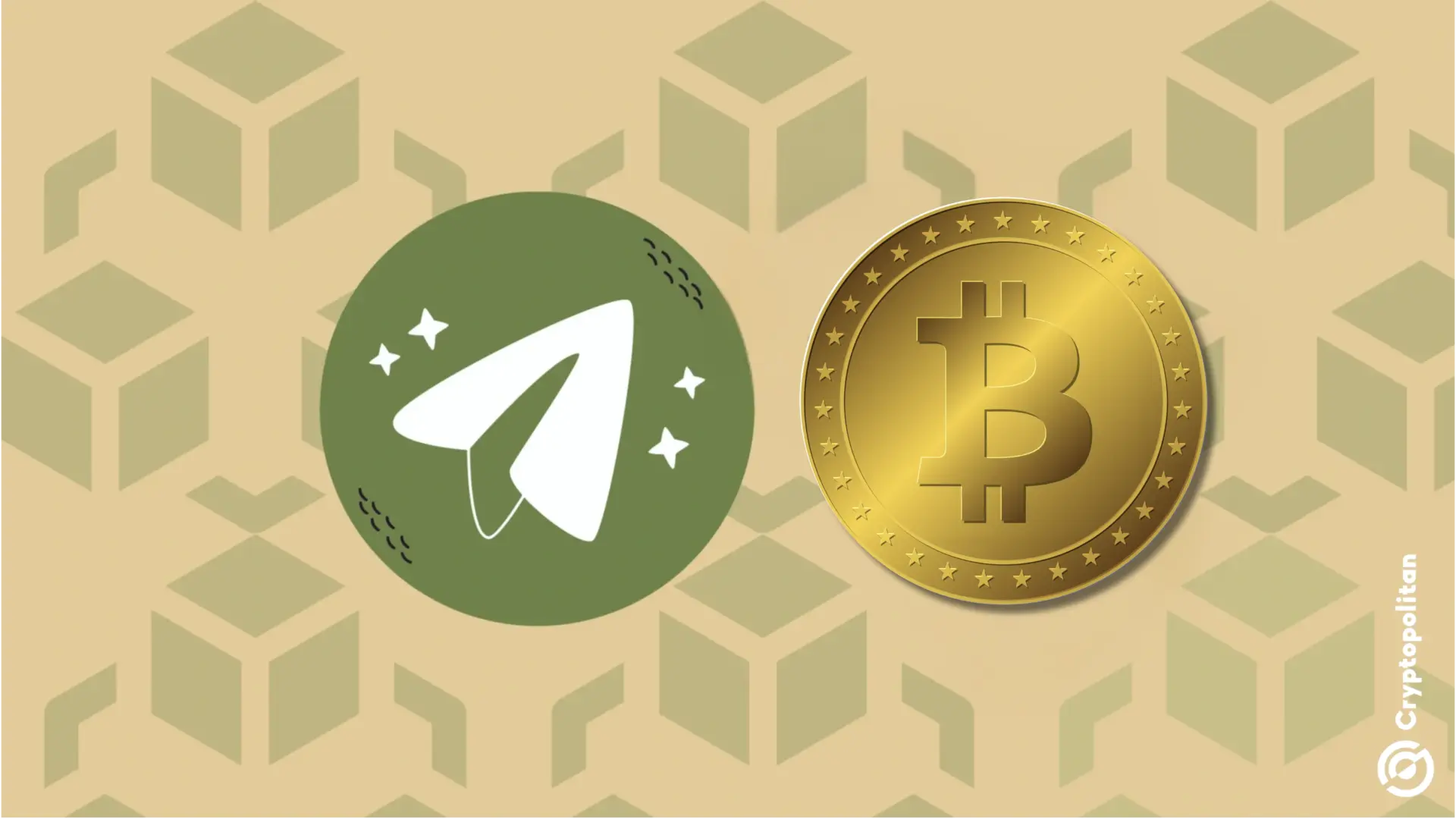 The Survival of Encrypted Hosting Markets Without Telegram\