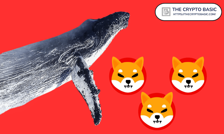 从 Coinbase 提取 5,000,000,000,000 枚 Shiba Inu 币的新钱包