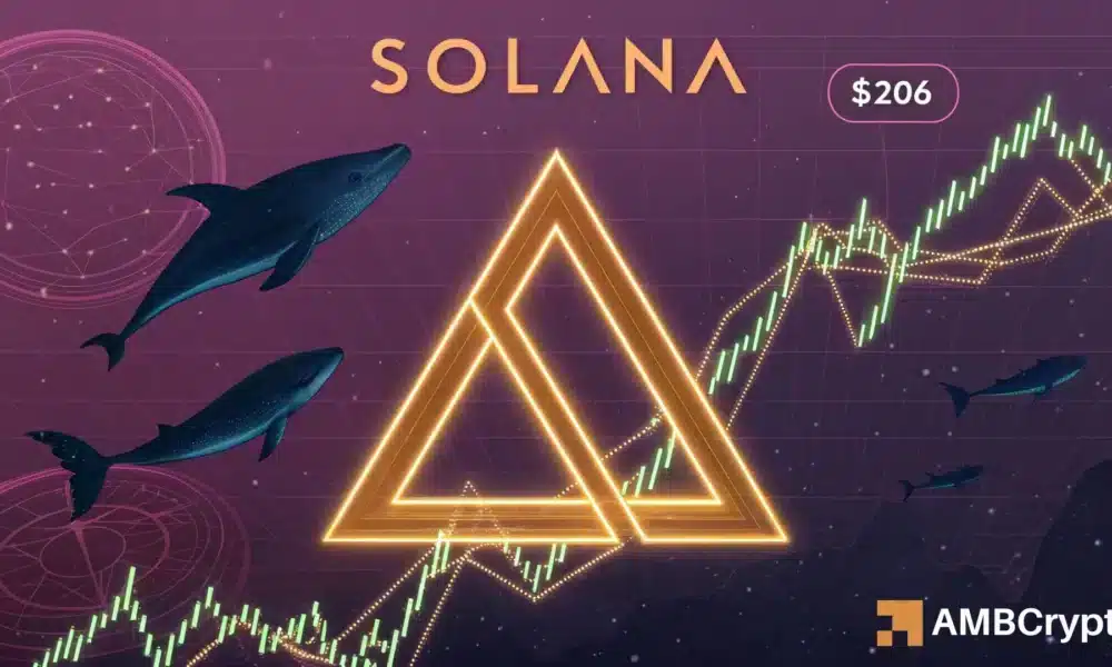 Solana积聚动力从关键支撑位迈向206美元:触手可及吗?
