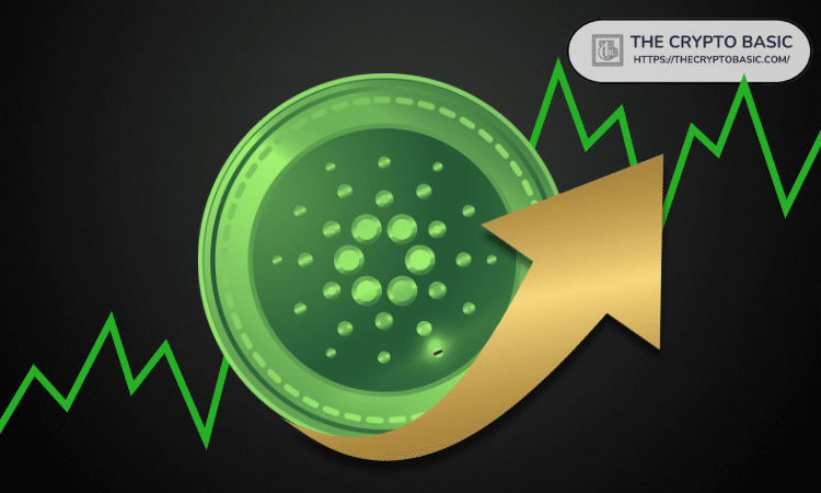 Analyst Predicts Cardano Will Show Strong Growth like XRP in 2024 and Solana in 2023.